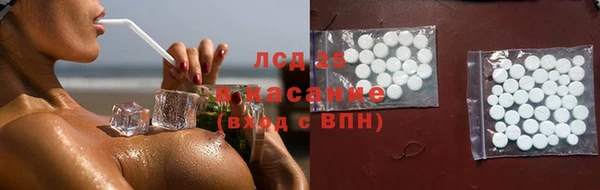 ПСИЛОЦИБИНОВЫЕ ГРИБЫ Белокуриха