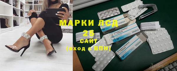 PSILOCYBIN Богородицк
