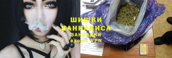 ПСИЛОЦИБИНОВЫЕ ГРИБЫ Белокуриха
